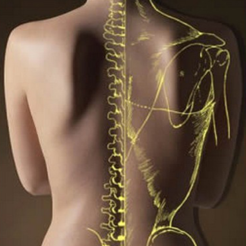 osteopata-osteopatia-trattamenti-mal-schiena-muscoli-spalle-gambe-ginocchia-medicina-osteopatica-salute-dolore-infiammazione